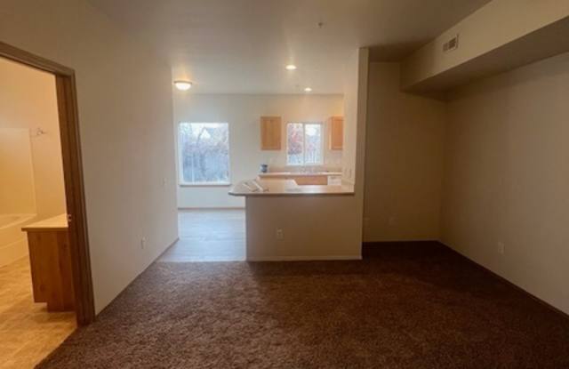 2007 East Whispering Willow Lane photos photos