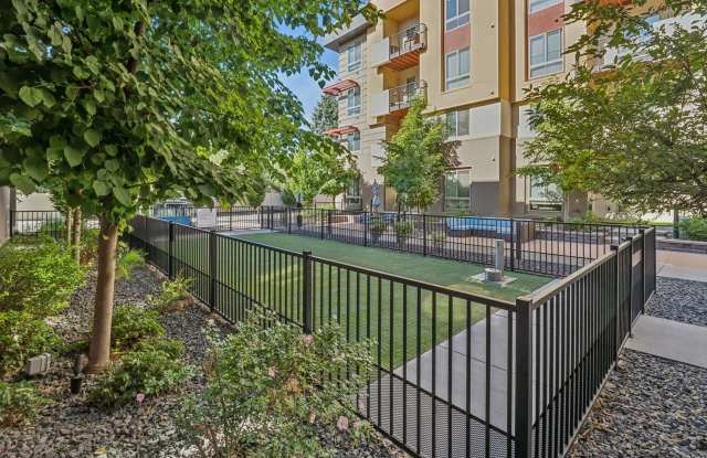 AMLI Cherry Creek Gallery 4