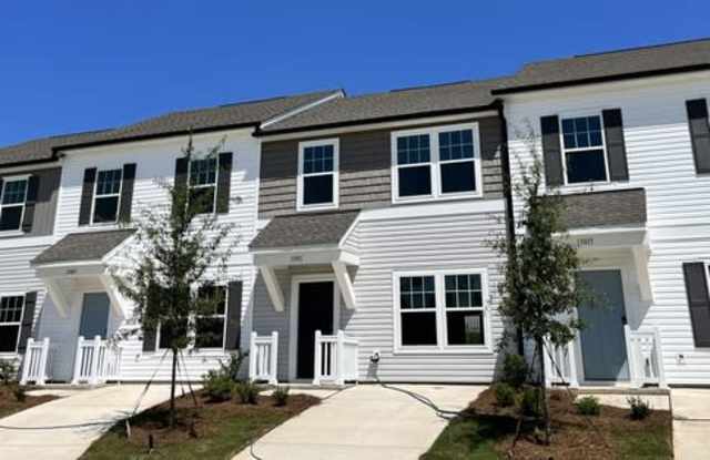 13036 Gadwal Pintail Drive - 13036 Gadwal Pintail Drive, Mecklenburg County, NC 28262