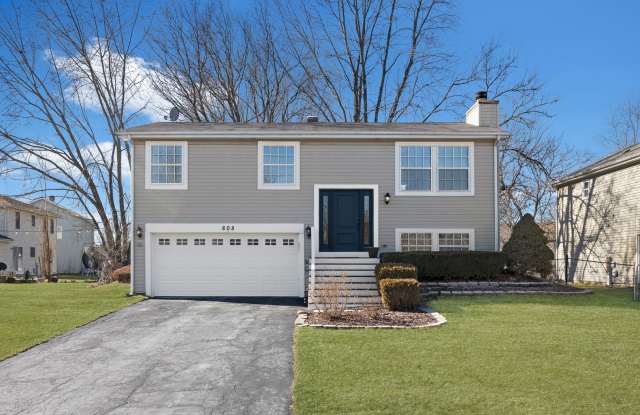 Bartlett Raised Ranch with Large Back Yard - 808 Prairie Avenue, Bartlett, IL 60103