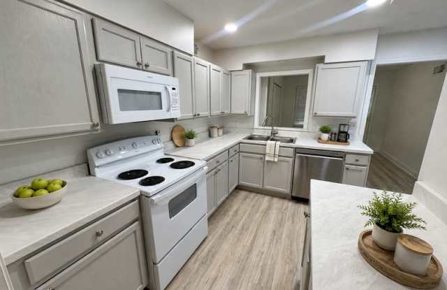 1519 Cranford Gallery 4