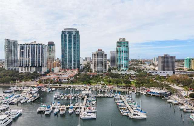100 BEACH Drive NE Gallery 4