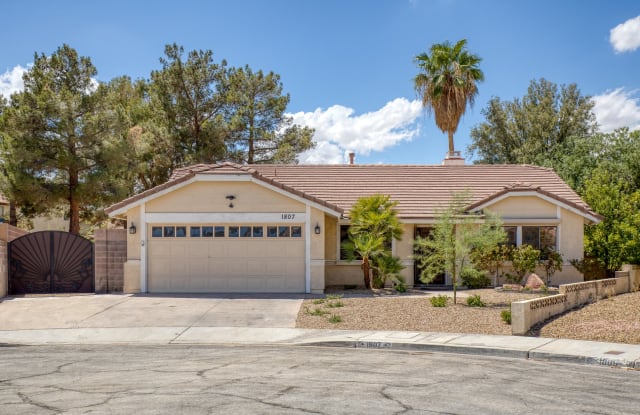 1807 Cahoon Court - 1807 Cahoon Court, Henderson, NV 89014