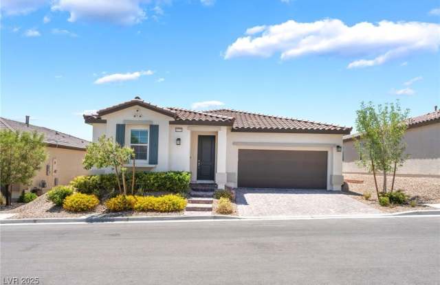 10771 Canary Blossom Avenue photos photos