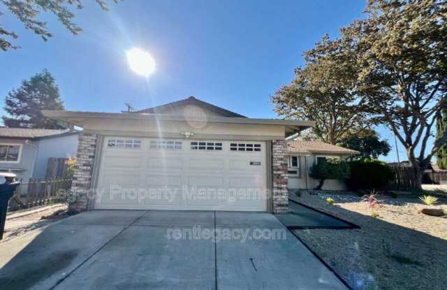 2459 Gulf Dr photos photos