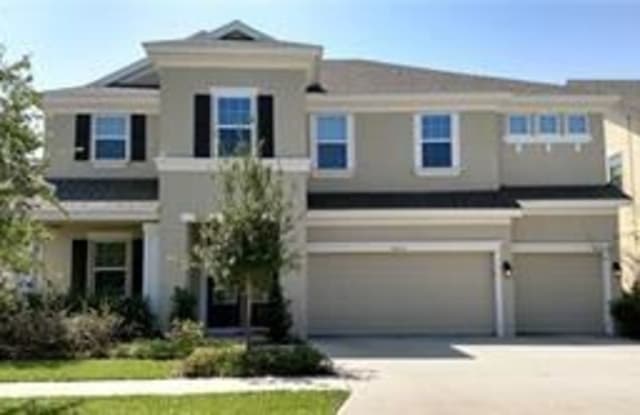 10915 Charmwood Dr - 10915 Charmwood Drive, Riverview, FL 33569