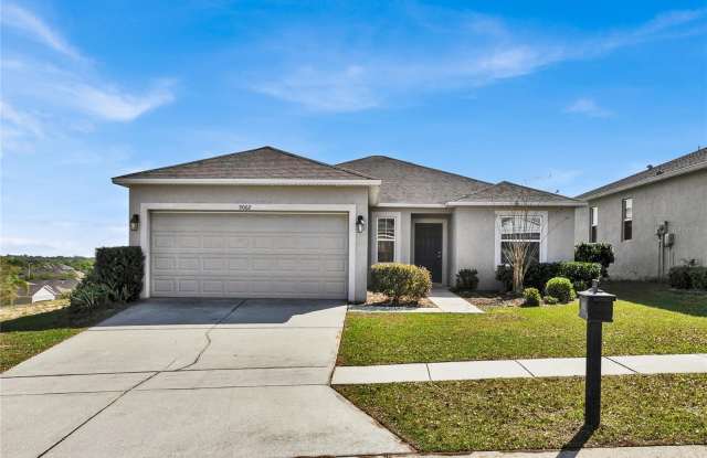 9002 ORANGE BLOSSOM LOOP photos photos