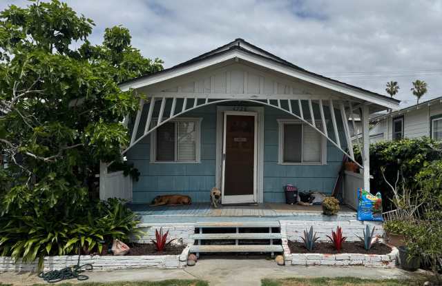 Sunny Beach Cottage with Yard in the Heart of Ocean Beach! photos photos