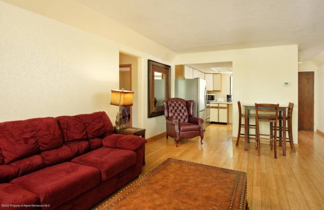 1232 Vine Street - 1232 Vine St, Aspen, CO 81611