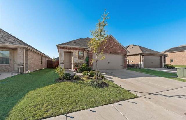 627 Sweet Dream Way - 627 Sweet Dream Way, Collin County, TX 75173