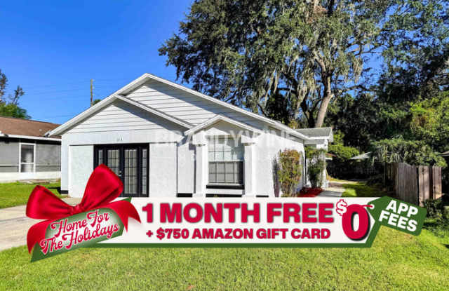 313 McCoy Village Court - 313 McCoy Village Court, Apopka, FL 32712