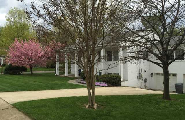 7116 WARBLER LANE - 7116 Warbler Lane, McLean, VA 22101