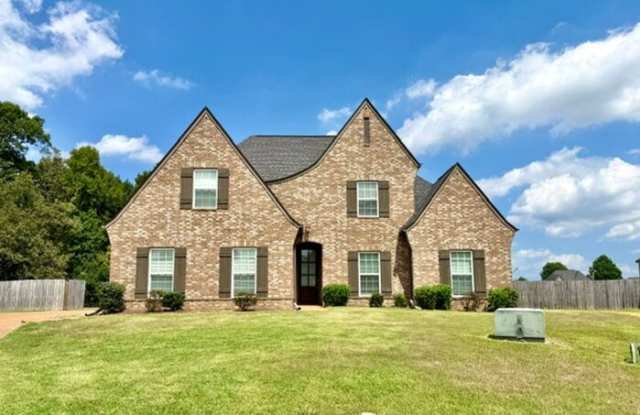 8630 Ainsley cove Gallery 1