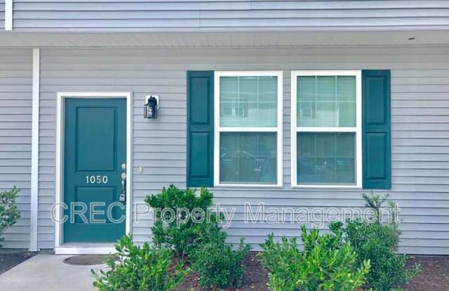 1050 Lexi Court - 1050 Lexi Court, Dorchester County, SC 29456
