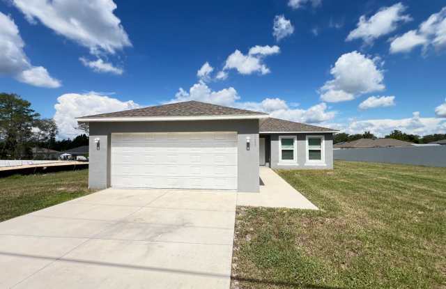 Beautiful and Lovely 3BD/2BA Home in Ocala!!l photos photos