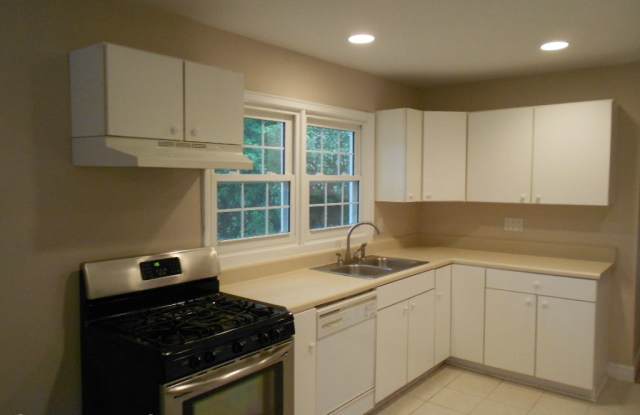 1166 Shepherds Lane NE Gallery 4