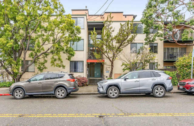 COMING SOON--This large 3 bedroom 2 bath apartment is in the heart of Gourmet Ghetto photos photos