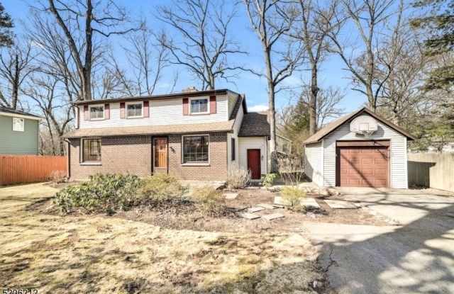 60 Voorhis Place - 60 Voorhis Place, Ringwood, NJ 07456