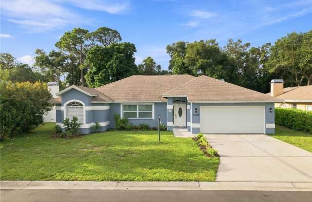 2405 APPALOOSA Circle Gallery 2