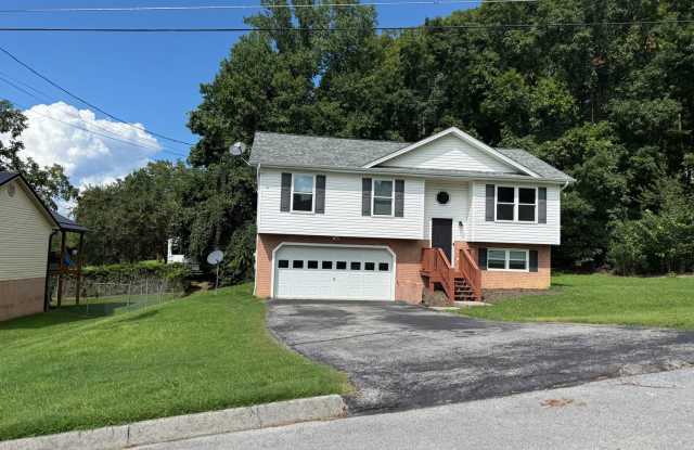 3 bed 2 bath + bonus room & 2 car garage- Jonesborough Gallery 1