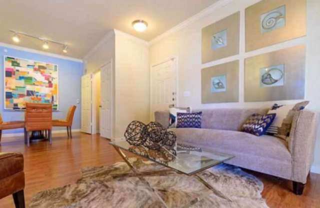 1843 Medical Pkwy Gallery 4