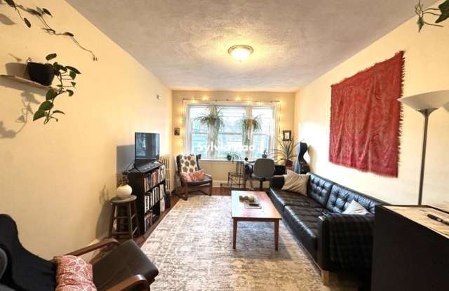45 Chestnut Hill Ave. - 45 Chestnut Hill Avenue, Boston, MA 02135