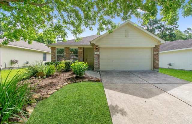 22 Bark Bend Place - 22 Bark Bend Pl, The Woodlands, TX 77385