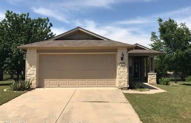 325 Barrington Farm Court - 325 Barrington Farm Court, Georgetown, TX 78633