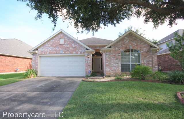9811 Trailing Moss Dr. - 9811 Trailing Moss Drive, Harris County, TX 77064