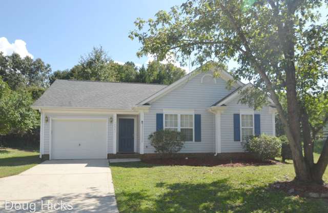 10401 Hyndman Court - 10401 Hyndman Court, Charlotte, NC 28214