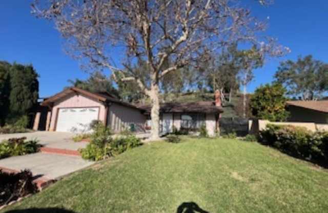 2938 Jacqueline photos photos