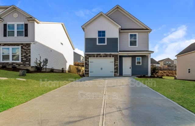 243 Savannah Hills Dr - 243 Savannah Hills Drive, Lexington County, SC 29073