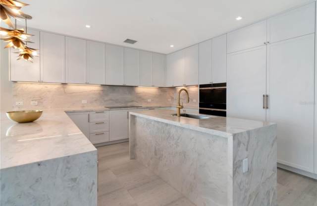 Ritz-Carlton Residences Tampa Gallery 3