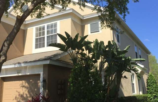 8503 Sandy Beach St - 8503 Sandy Beach Street, Town 'n' Country, FL 33634