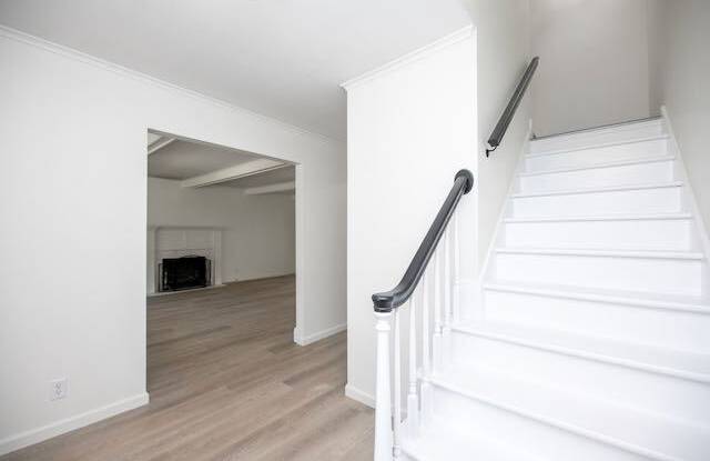 707 West Versailles Drive Gallery 3