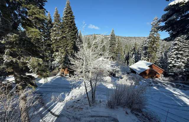 Charming Tahoe Donner Log Cabin with Hot Tub Gallery 4
