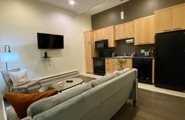 New Luxury Downtown 2 Bedroom Apartment with Indoor Garage Gallery 3