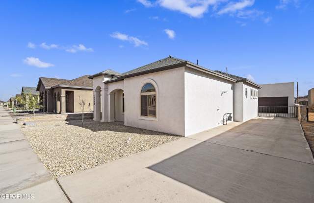 14328 Chris Zingo Lane - 14328 Chris Zingo Lane, Horizon City, TX 79928