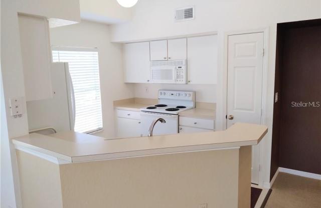 9012 LAKE CHASE ISLAND WAY Gallery 4