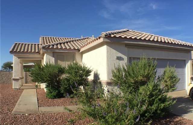 1010 Seaside Daisy Court photos photos