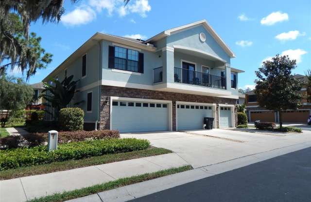 16616 KINGLETSIDE COURT - 16616 Kingletside Court, Fish Hawk, FL 33547
