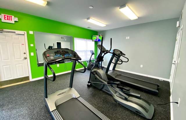 Deer Chase photos photos