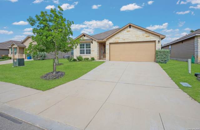 22110 Backspin photos photos 22110 Backspin photos photos