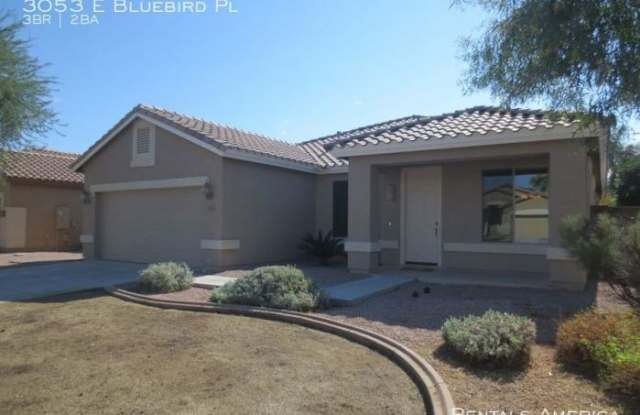 3053 E Bluebird Pl - 3053 East Bluebird Place, Chandler, AZ 85286