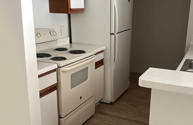 3220 Virginia Downs photos photos