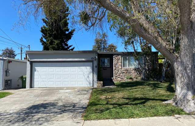 4258 Veronica Ave - 4258 Veronica Avenue, Castro Valley, CA 94546