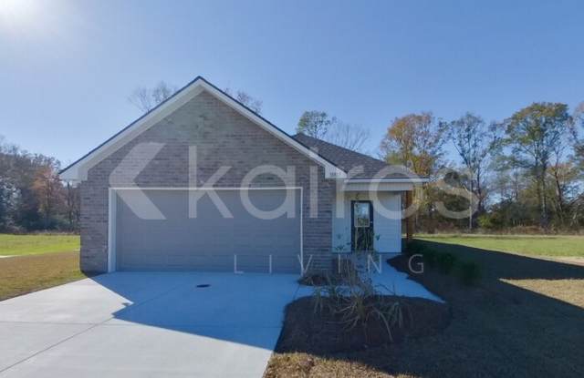 18817 Seabiscuit Lane - 18817 Seabiscuit Lane, East Baton Rouge County, LA 70791