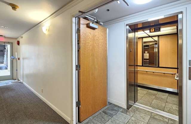 949 Prospect St #311 - 311 Gallery 1