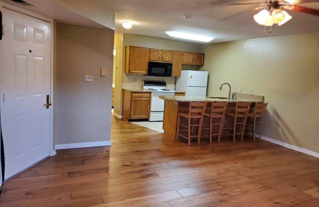 To Good to Be True, Efficiency! Spacious Efficiency Condo with Fireplace, Hardwood Floors, Jetted Tub  MORE! photos photos