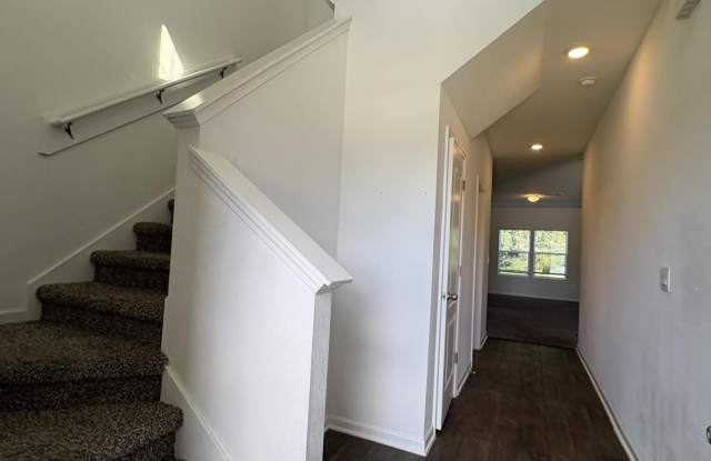 12645 CACAO TREE Trail Gallery 2